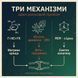 Дієтична добавка Phytodol "Комплекс для підтримки суглобів", 60 таблеток 500387 фото 14