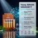 Коробка BRAIN MEMORY Vitanil's із флаконами шоту &mdash; 4 причини обрати: ясність замість туману, кровообіг до мозку, захист від втоми, фокус і спокій