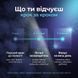 Таймлайн ефекту BRAIN MEMORY крок за кроком &mdash; старт, 2-3 тижні, 1-2 місяці: від першого шоту до фокусу на весь день