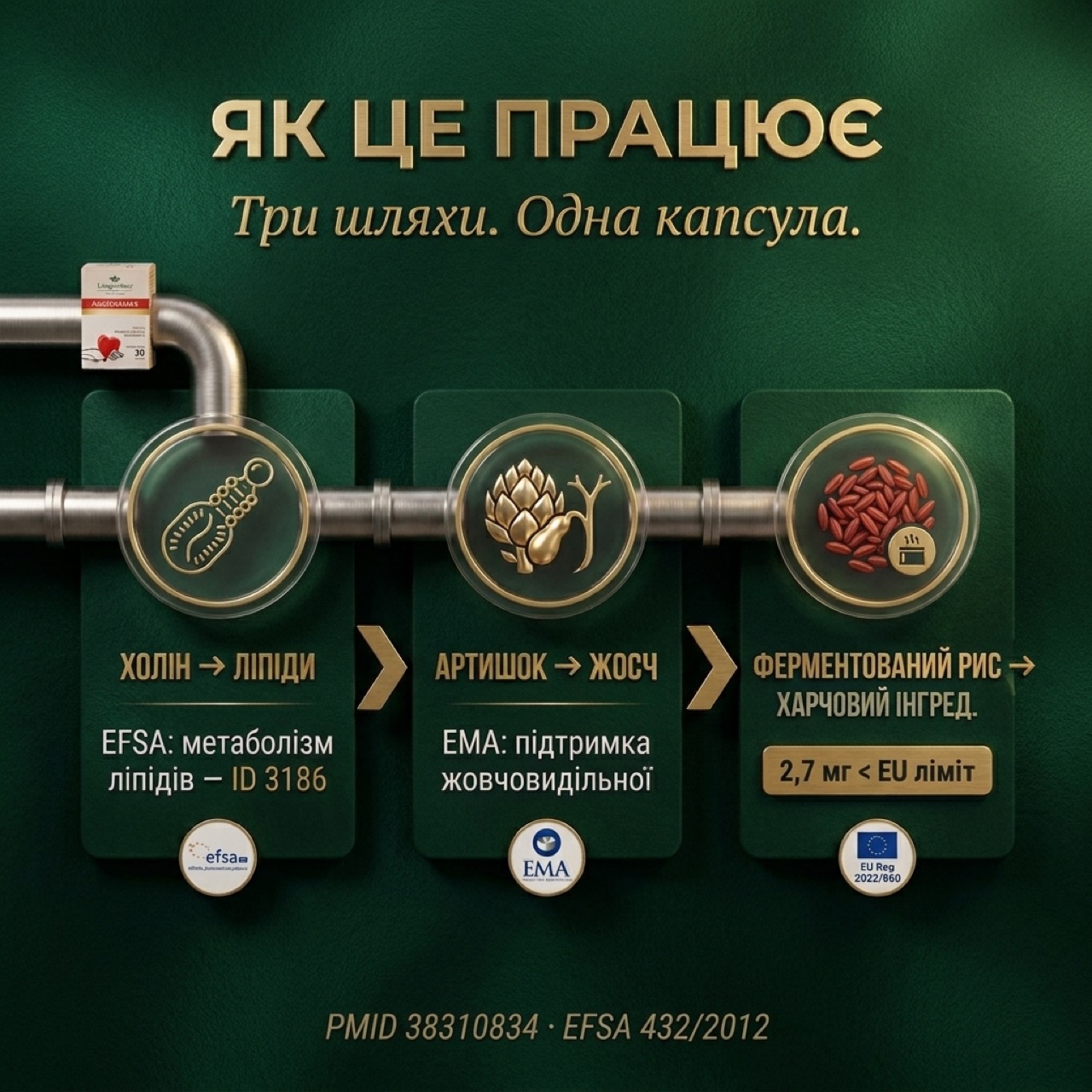 Схема тримпульсного механізму Антихолестерин+ — холін підтримує метаболізм ліпідів через VLDL, артишок стимулює жовчовиділення, ферментований рис — традиційний харчовий інгредієнт