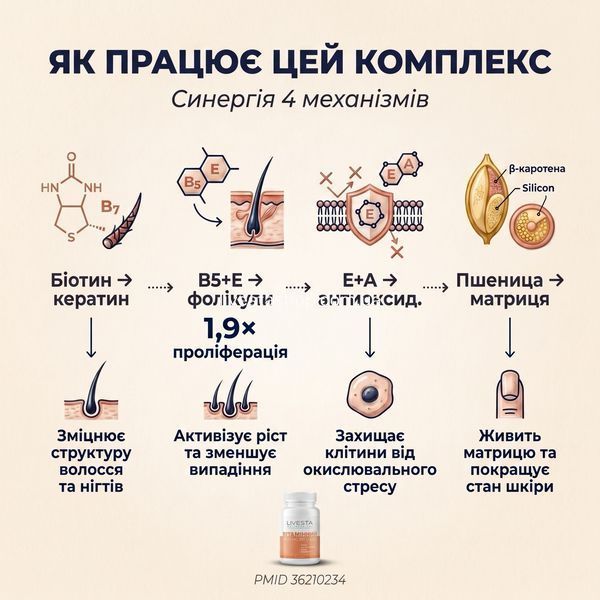 Схема як LIVESTA підтримує волосся, шкіру та нігті &mdash; 4 механізми синергії, livestashop