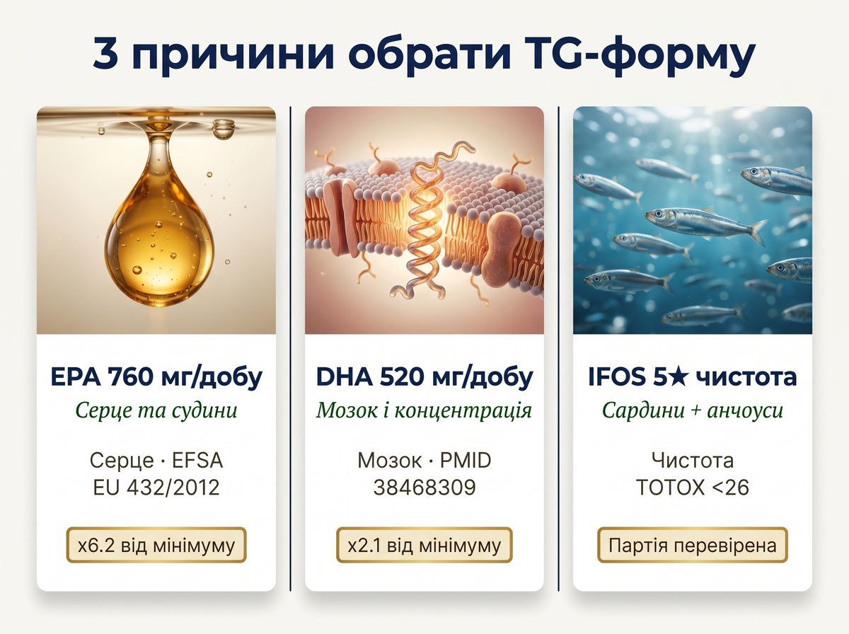 4 механизма действия Omega-3 — сердце, мозг, чистота сырья, low-mercury