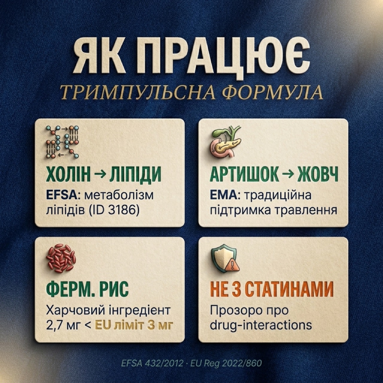 Схема трёхимпульсного механизма Антихолестерин+ — холин поддерживает метаболизм липидов через VLDL, артишок стимулирует желчевыделение, ферментированный рис — традиционный пищевой ингредиент
